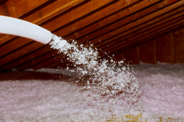 Best Commercial Insulation Contractor  in Norlina, NC