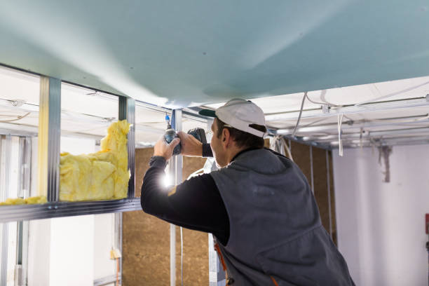 Best Attic Insulation Near Me  in Norlina, NC