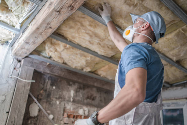 Professional Insulation Contractor in Norlina, NC