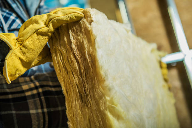 Best Insulation Contractor Near Me  in Norlina, NC