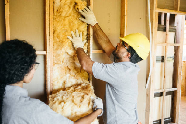 Best Spray Foam Insulation  in Norlina, NC