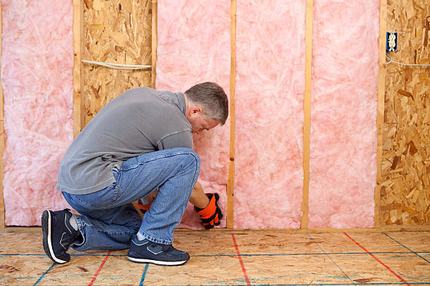 Best Best Insulation Companies  in Norlina, NC