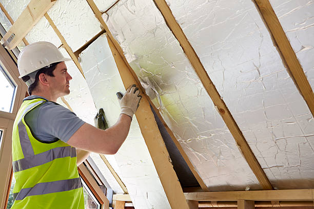Best Insulation Repair Services  in Norlina, NC