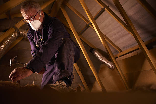 Best Blown-in Insulation  in Norlina, NC