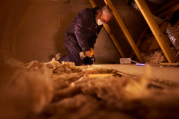 Best Cellulose Insulation  in Norlina, NC