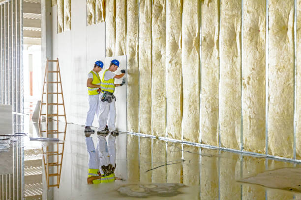Best Affordable Insulation Services  in Norlina, NC